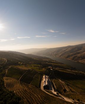 Adorigo Farm Winery