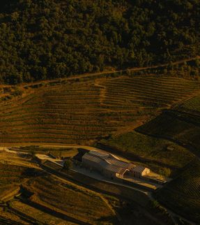 Adorigo Farm Winery