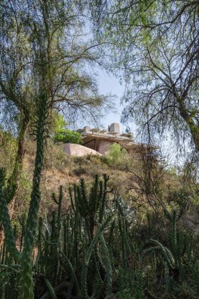 Of. Brutal Honesty Mountain House
