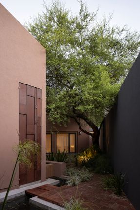 House Around The Tree