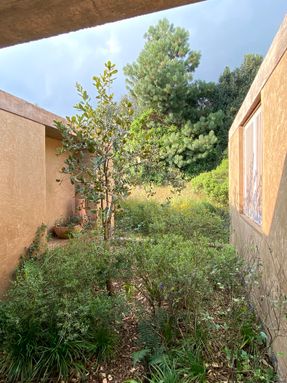 Tecorral House
