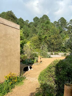 Tecorral House