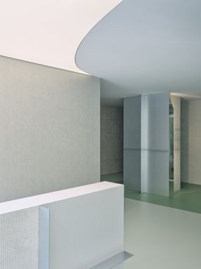 Palo Verde Aesthetic (Pv Aesthetic)
