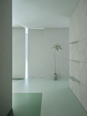 Palo Verde Aesthetic (Pv Aesthetic)