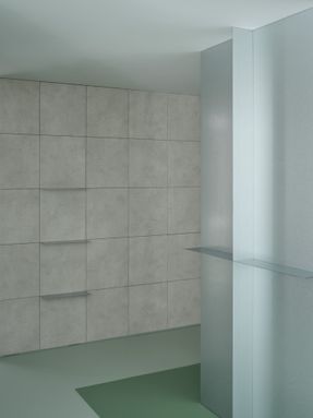 Palo Verde Aesthetic (Pv Aesthetic)