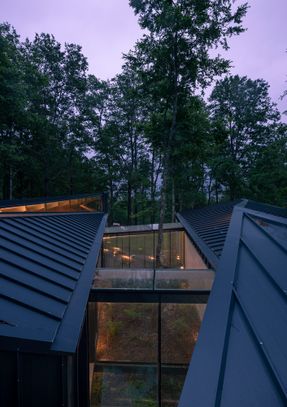 Forest House