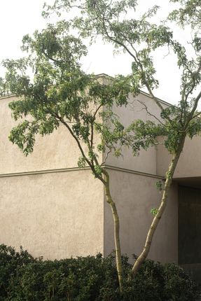 Residence Av
