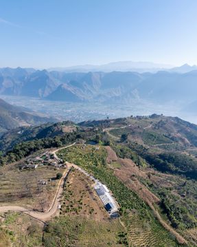 Terraweave Estate (Tiantian) Coffee Drying Yard