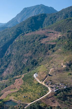 Terraweave Estate (Tiantian) Coffee Drying Yard