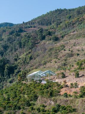 Terraweave Estate (Tiantian) Coffee Drying Yard