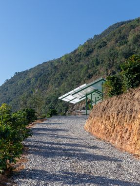 Terraweave Estate (Tiantian) Coffee Drying Yard