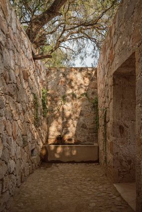 Ganaderia Santillan
