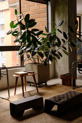 Forest Apartment