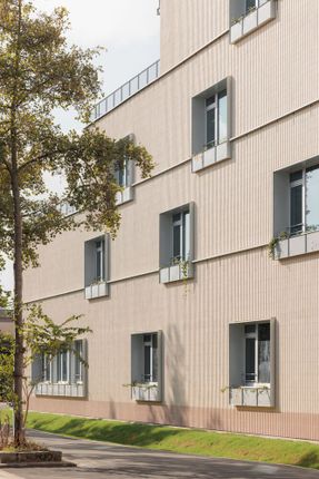 Dominique Frelaut School Group