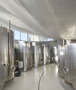 Tokaj Sauska Winery