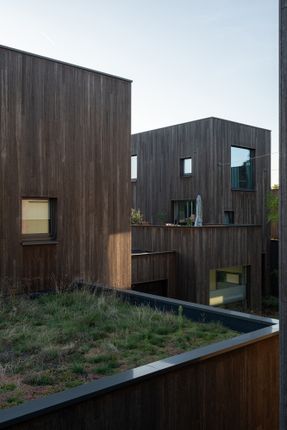 Bosrijk Houses