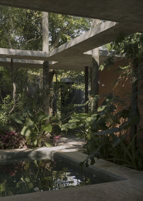 A Forest In The House