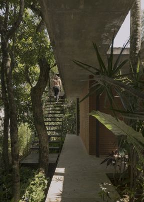 A Forest In The House