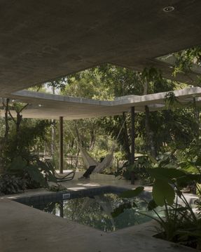 A Forest In The House