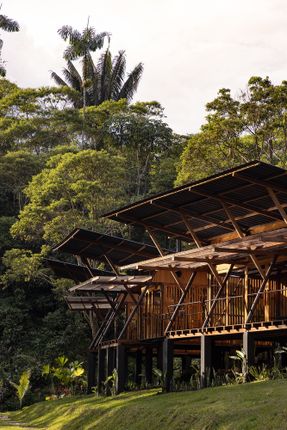 Hoguera De Madera Refuge