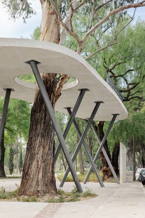 Chapultepec Forest Scenic Garden