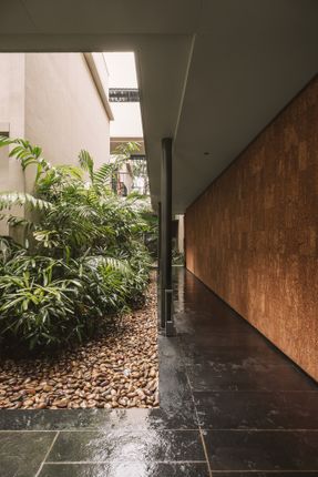 Nirava Ayurveda Holistic Centre