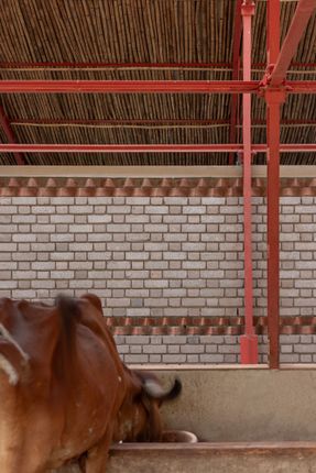 Gaughar Animal Husbandry