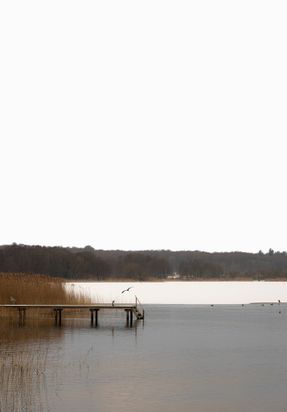 Lakeshore Barn House