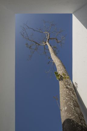 Casa Branca