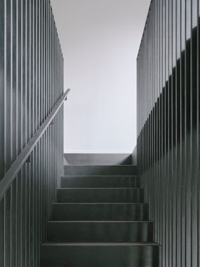 Casa Np Renovation