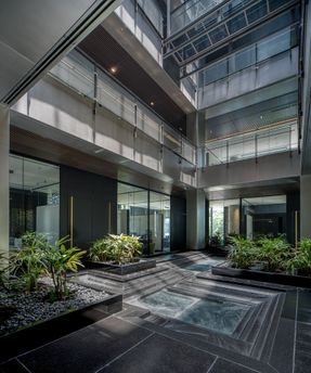 The Light And Black Workplace