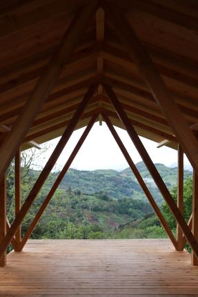 Taller Agropoetico - Foresta Collective