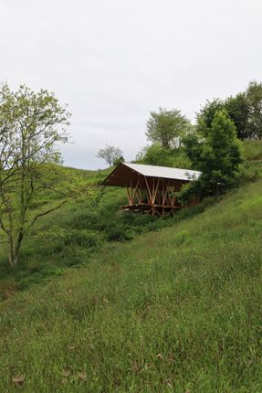 Taller Agropoetico - Foresta Collective