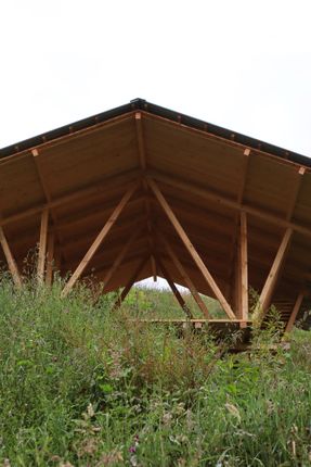 Taller Agropoetico - Foresta Collective