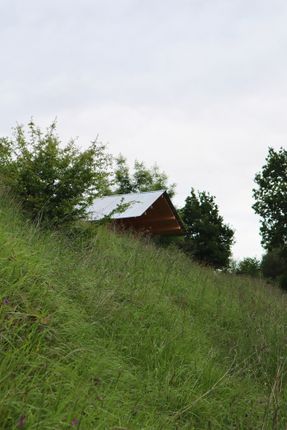 Taller Agropoetico - Foresta Collective
