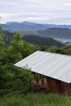 Taller Agropoetico - Foresta Collective