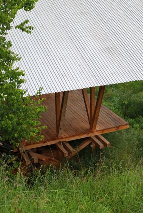 Taller Agropoetico - Foresta Collective
