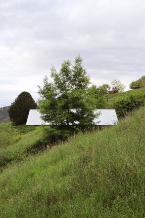 Taller Agropoetico - Foresta Collective
