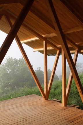 Taller Agropoetico - Foresta Collective