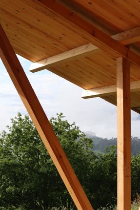 Taller Agropoetico - Foresta Collective