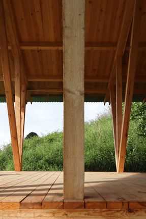 Taller Agropoetico - Foresta Collective