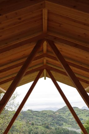 Taller Agropoetico - Foresta Collective