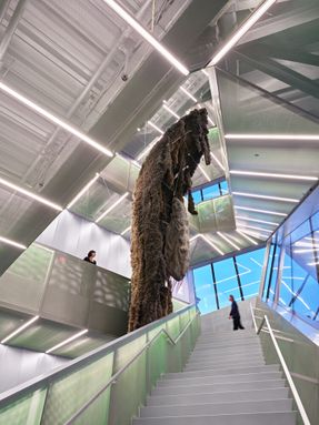 New Museum Of Contemporary Art