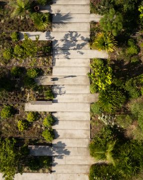Health Sciences Faculty – University Of La Réunion