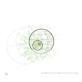 Circle Pit
