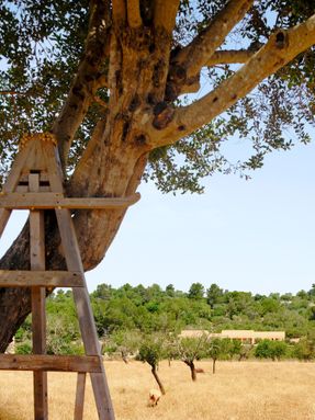 Gallineta House