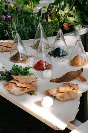 Live Multispecies Kitchen