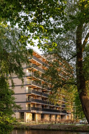 Valckensteyn - Timber Residential Building
