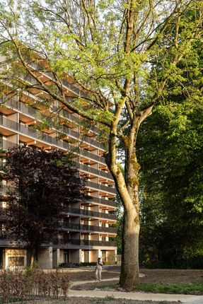 Valckensteyn - Timber Residential Building