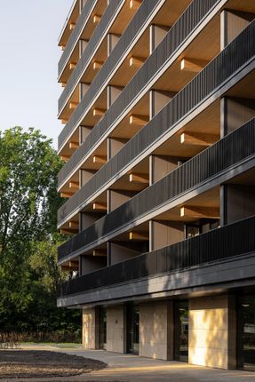 Valckensteyn - Timber Residential Building